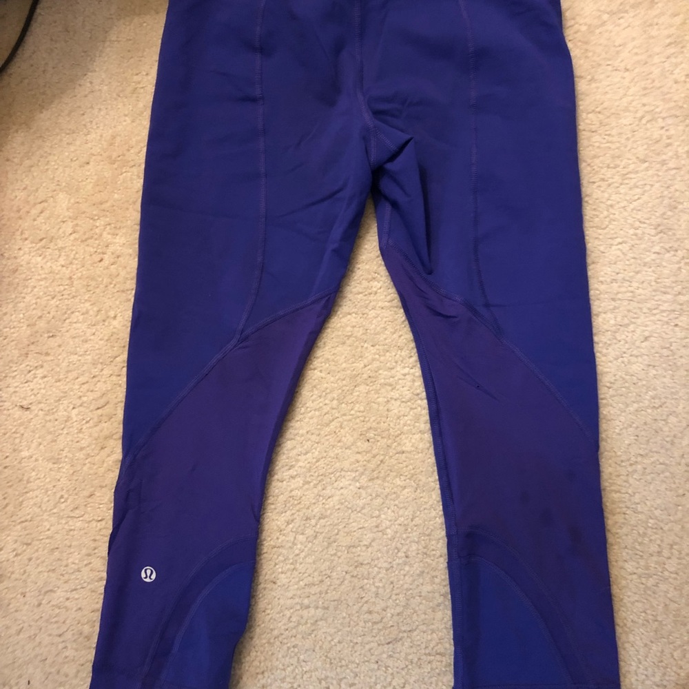 Purple Inspire crops